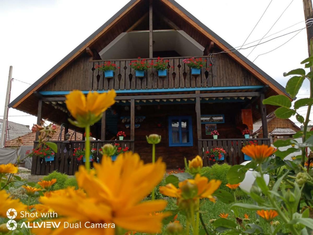 Hotel Casa Toth Din Tipterai Vişeu de Sus Exteriér fotografie